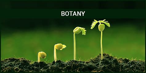 What is Botany? - Meaning, History, Branches, Importance