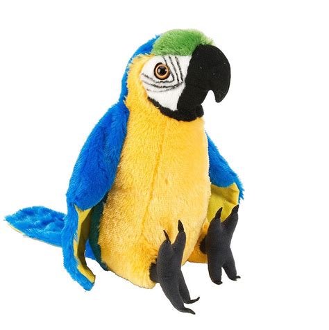 Download Macaw Bird Gif | angelinajoliecoolsagt