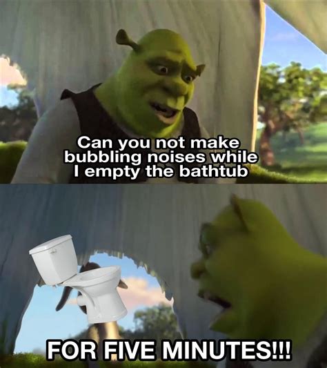 I made this Shrek meme based on personal experiences : r/Shrek