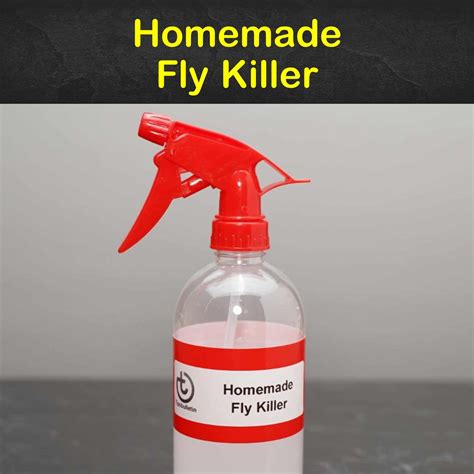 Homemade Fly Killer Recipes: 11 Natural Tips for Killing Flies