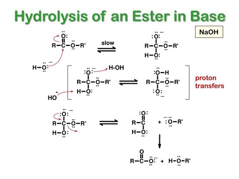 PPT - HYDROLYSIS REACTIONS PowerPoint Presentation, free download - ID ...