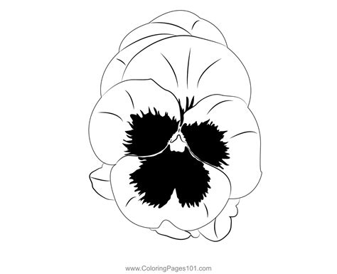 Pansy Flower Coloring Page for Kids - Free Pansy Printable Coloring Pages Online for Kids ...