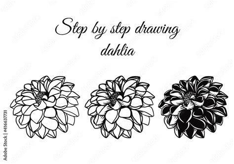 How to draw dahlia in tattoo style lesson. Step by step flower illustration Stock Vector | Adobe ...