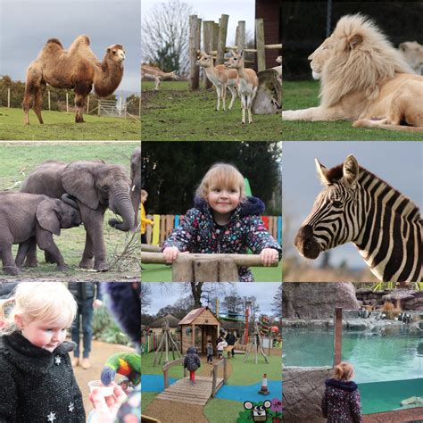 West Midlands Safari Park – SmallHouseBigTrips