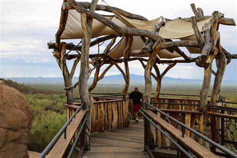 Arizona-Sonora Desert Museum - Wesley Adventures