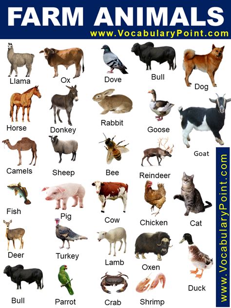 50+ List of Farm Animals - Vocabulary Point