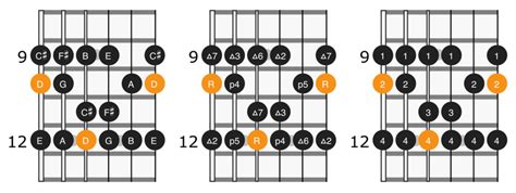 D Major Scale on Guitar: Positions & Theory