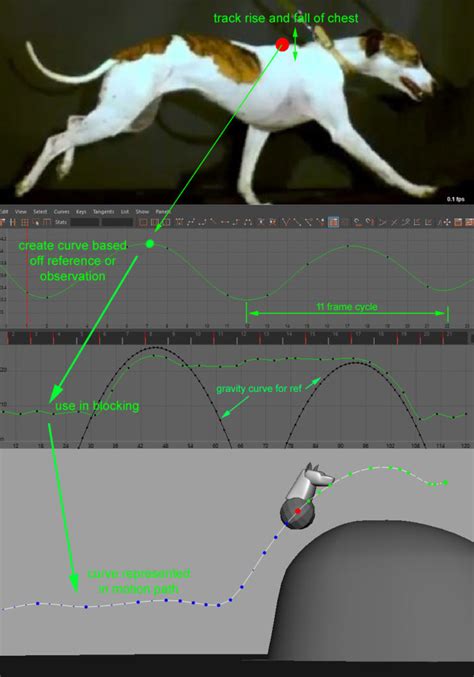 Five Step Quadruped Method | Daniel Fotheringham – Animator