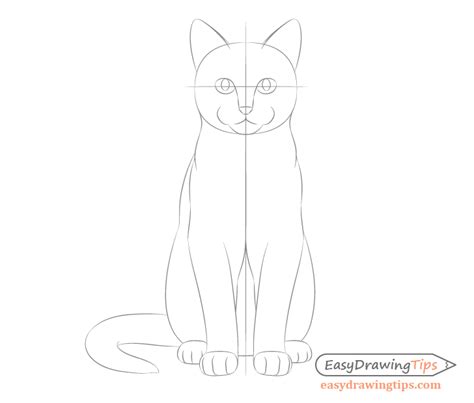 How to Draw a Cat Step by Step - EasyDrawingTips