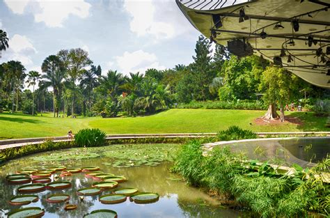 Entrance Fee Singapore Botanic Gardens | Fasci Garden