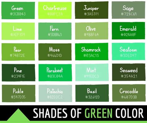 134 Shades of Green Color With Names, Hex, RGB, CMYK Codes - Color Meanings | Green color names ...