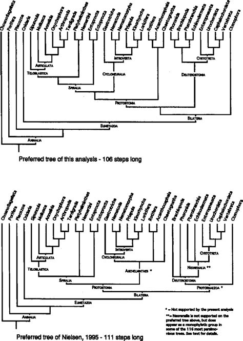 Animal Cladogram : Cladogram Of Life Learning Science Science Education Science Lessons / It is ...