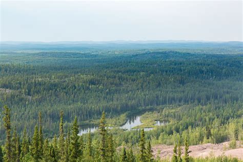 Lightning Sparking More Boreal Forest Fires Climate