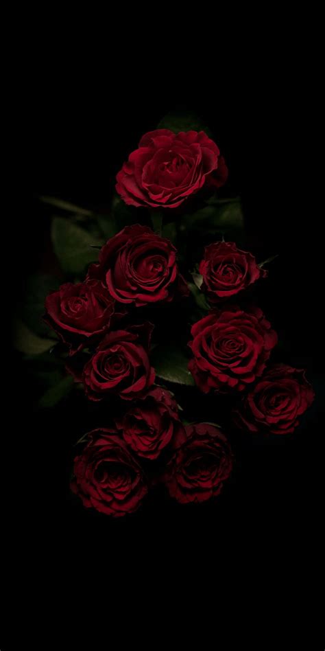 82 Wallpaper Dark Flower Pics - MyWeb