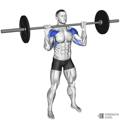 Shoulder Press Standards for Men and Women (kg) - Strength Level