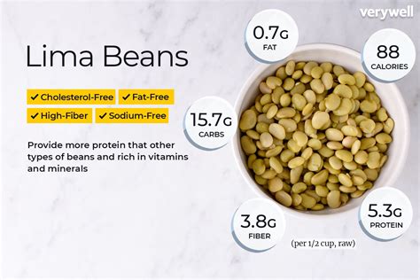 Lima Bean Nutrition Facts and Health Benefits