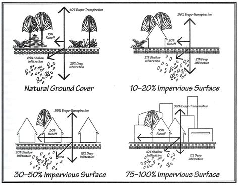 Impervious Surfaces | Glen Lake Association