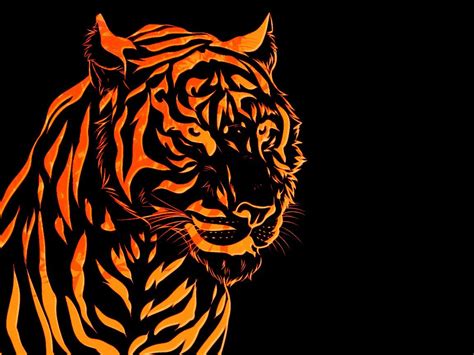 Coloured Tiger Wallpapers - Wallpaper Cave