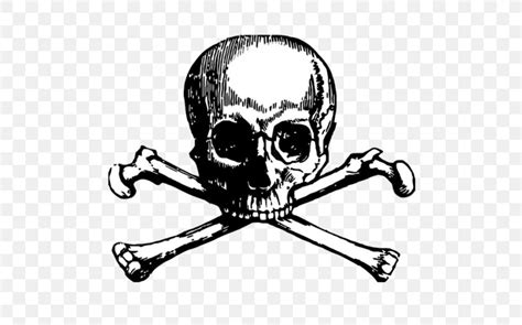 Skull And Bones Skull And Crossbones Tattoo Human Skull Symbolism, PNG ...