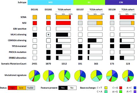 Molecular features of gastric cancer organoids in comparison to the The ...