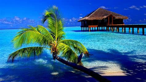 Tropical Wallpapers, Beautiful Tropical Wallpaper, #9760