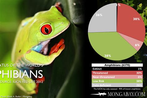 CHART: The world's most endangered amphibians