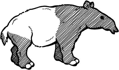 Free Tapir Coloring Pages