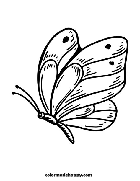 Printable Butterfly Outline Templates