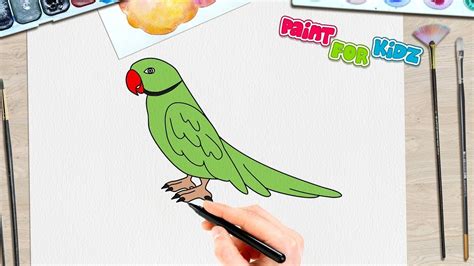 Green Parrot Drawing