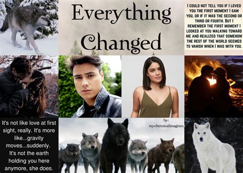 Twilight Wolf Pack Names And Colors