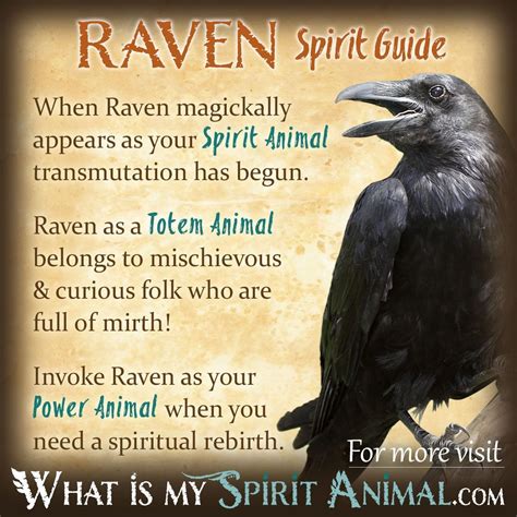 Raven Symbolism & Meaning | Raven Spirit, Totem, & Power Animal