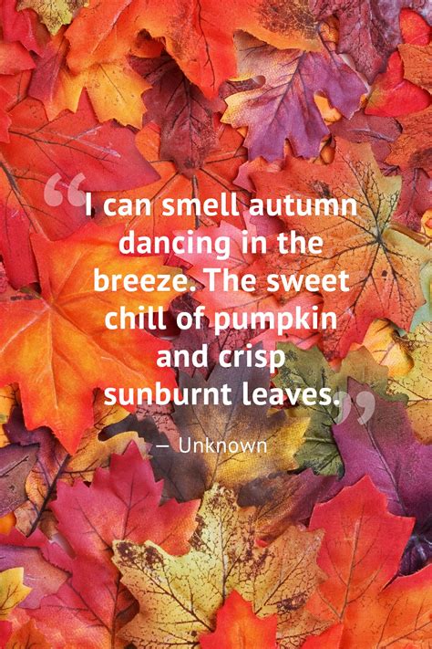 Short Autumn Quotes