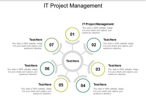 IT Project Management Ppt Powerpoint Presentation Infographics Graphics Download Cpb ...