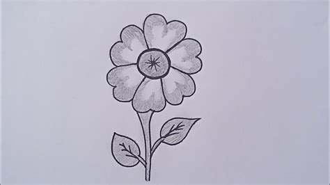 Cute Easy Drawings Of Flowers