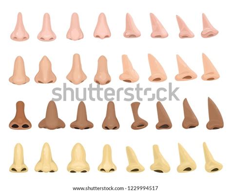 40,642 Nose Shape Images, Stock Photos & Vectors | Shutterstock