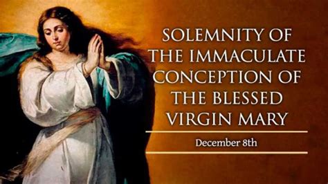 Solemnity of the Immaculate Conception | ST PETER CATHOLIC CHURCH