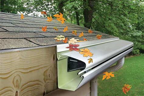 Gutter Guards, Leaf Guards, & Leaf Filters: Do they really work?