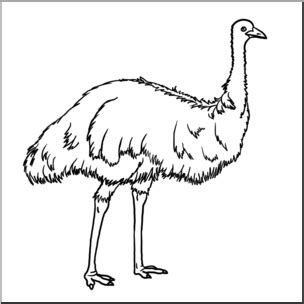 emu clip art 20 free Cliparts | Download images on Clipground 2024