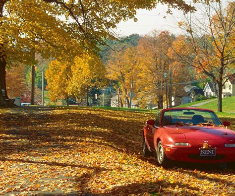 Connecticut Fall Foliage Driving Tours