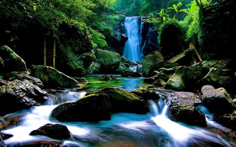 Forest Waterfall Wallpapers - Top Free Forest Waterfall Backgrounds - WallpaperAccess