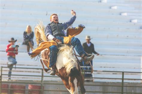 Best Bronc Riding Stock Photos, Pictures & Royalty-Free Images - iStock