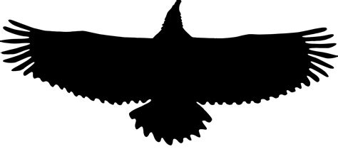 Eagle In Flight Silhouette at GetDrawings | Free download