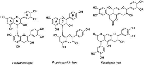 Cat's Claw - Supplement, Extract, and Side Effects