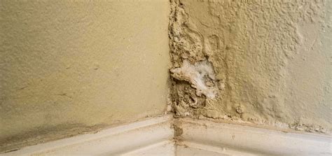 Are Damp Walls Bad for You? | Precision Basements & Damp Proofing