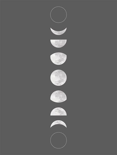 Moon Phases Art, Moon Art, Moon Moon, Moon Phases Drawing, Full Moon, Moon Beauty, Snapbox ...