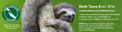 Sloth Sanctuary of Costa Rica — Since 1992, the first advocate for ...