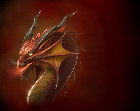 Animated Dragon Wallpaper - WallpaperSafari