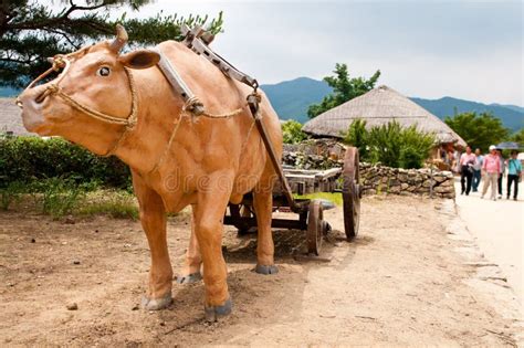 Nagan Folk Village South Korea Stock Photo - Image of folklore, bull ...