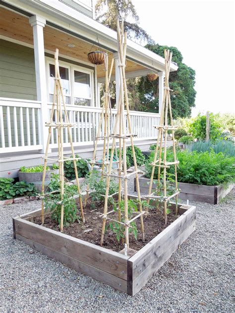 How to Make a DIY Tomato Trellis