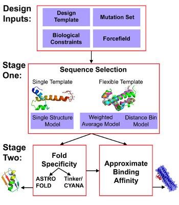 De novo Design - Creative Biostructure